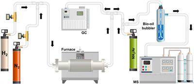 Novel process for the upgrading of model torrefaction bio-oils using ammonia